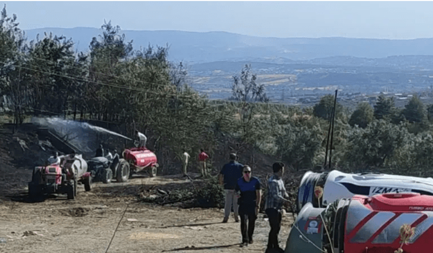 Çöplük yangını zeytinliğe sıçradı