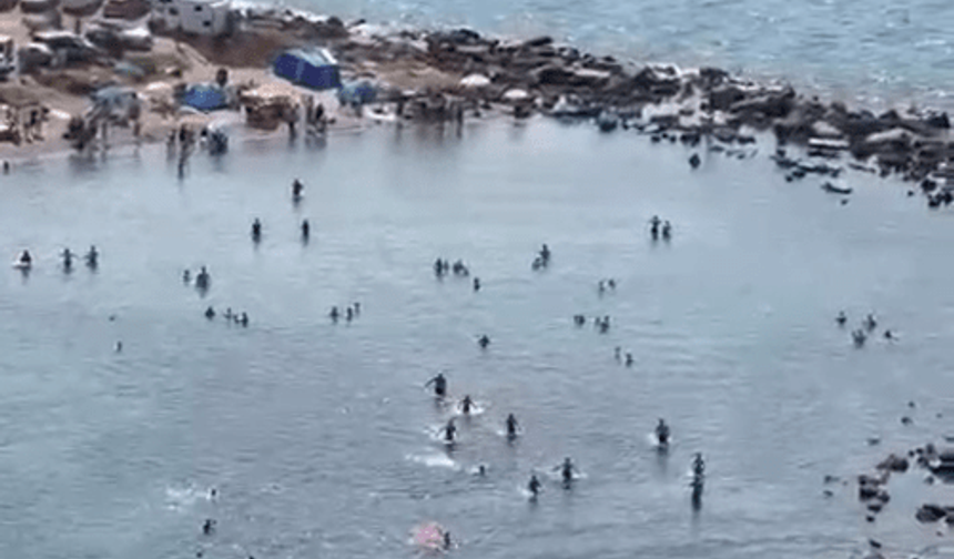Mudanya'da denizde can pazarı