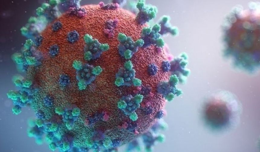 Yeni virüs alarmı: Hızla yayılıyor!