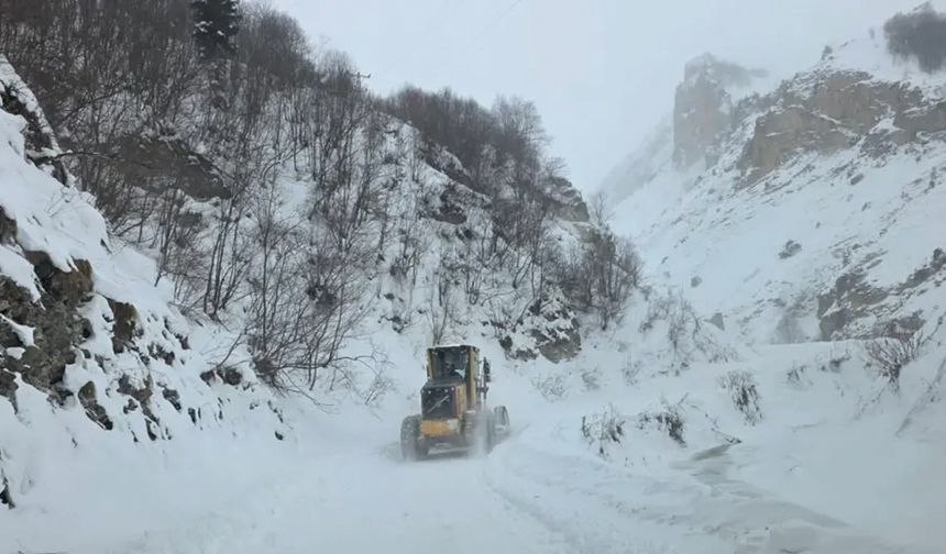 Artvin’de çığ düştü