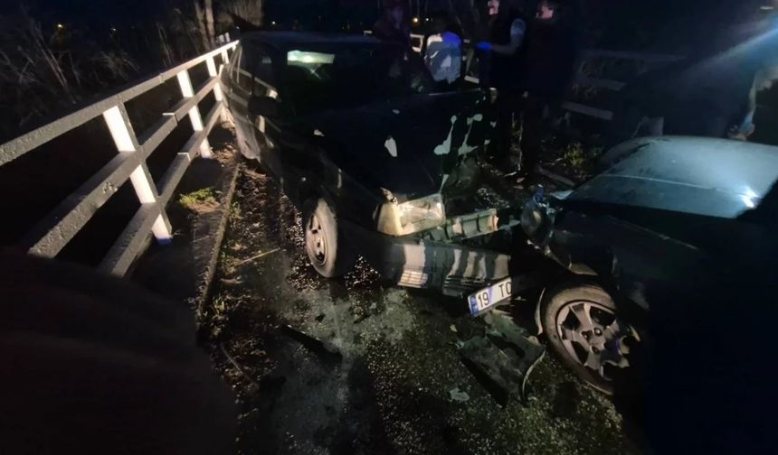 Bursa’da kafa kafaya kaza!