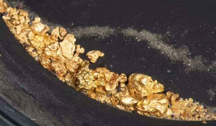 Tüm dünyaya yetecek altın keşfedildi!