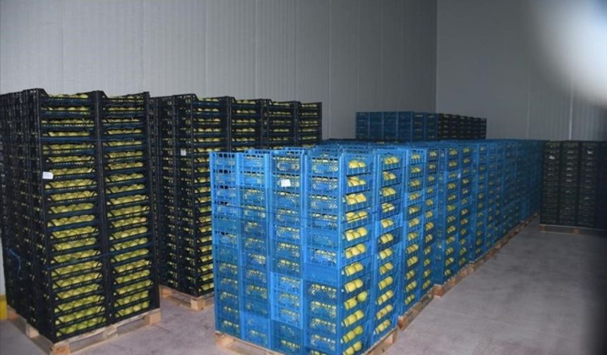 Bursa'ya 400 milyon TL'lik dev tesis!