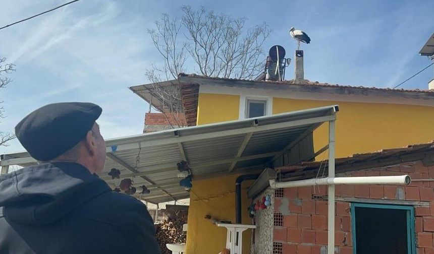 Eşi geldi, sıra Yaren Leylek'te!