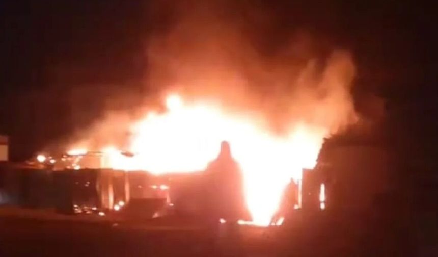 Bursa'da çiftlik yangını!