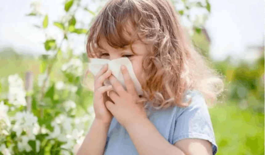 Çocuklarda bahar alerjisi önlemleri
