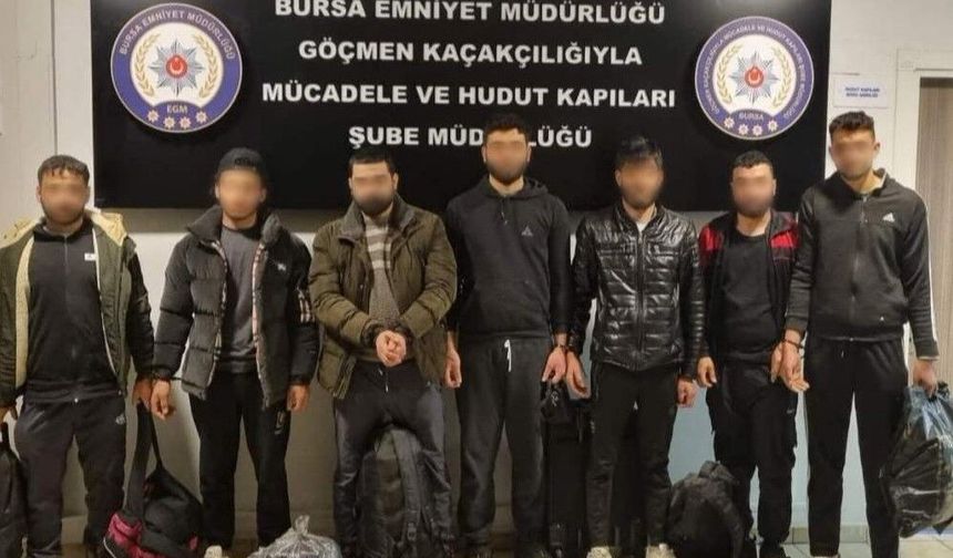 Bursa'da kaçak göçmen ağı çökertildi