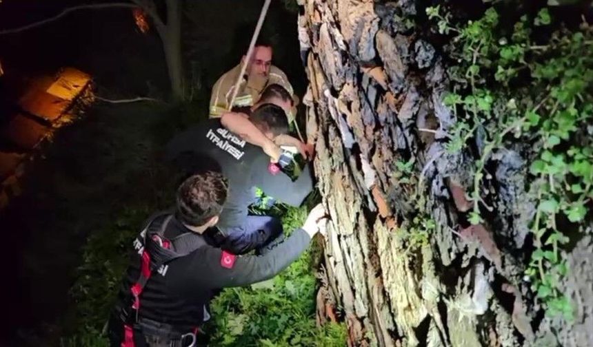 Tophane surlarında intihar girişimi!