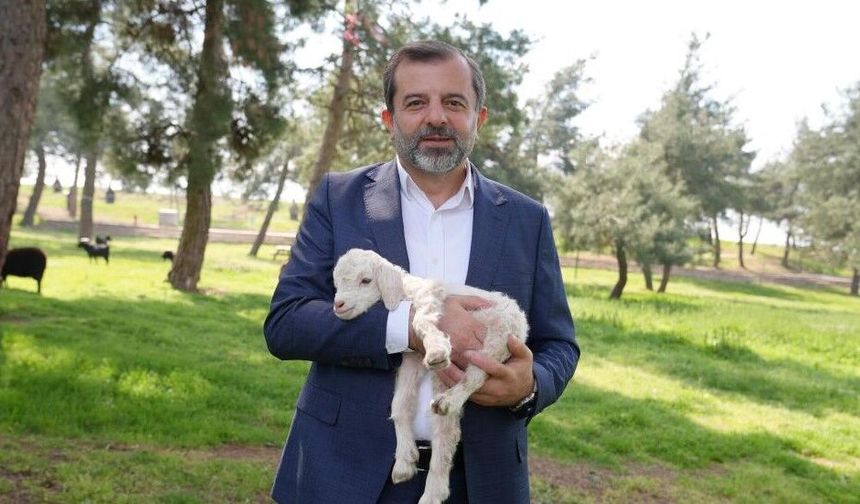 Butik Hayvanat Bahçesi yeni sakinlerini ağırlıyor