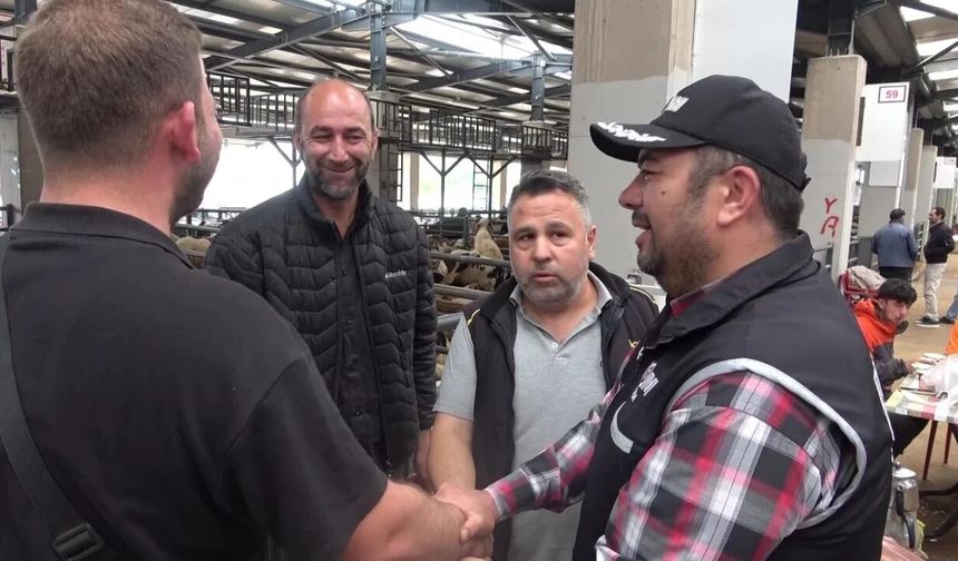 BURSA'DA KURBAN PAZARINDA RENKLİ ANLAR!