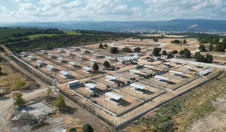 BÜYÜKŞEHİR'DEN SOKAK HAYVANLARINA YENİ YUVA