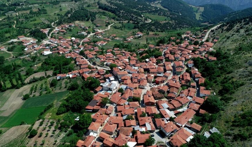 BURSA'NIN MEŞHUR LEZZETİ RESMEN TESCİLLENDİ!