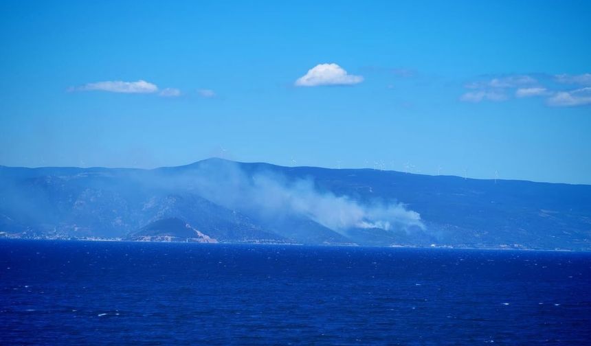YALOVA'DA KORKUTAN ORMAN YANGINI
