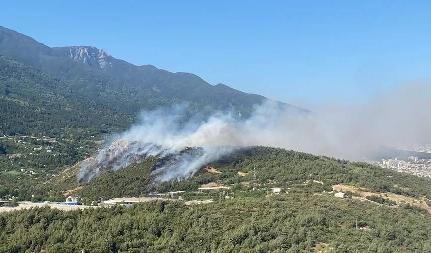 BURSA'DA PEŞ PEŞE ORMAN YANGINLARI!