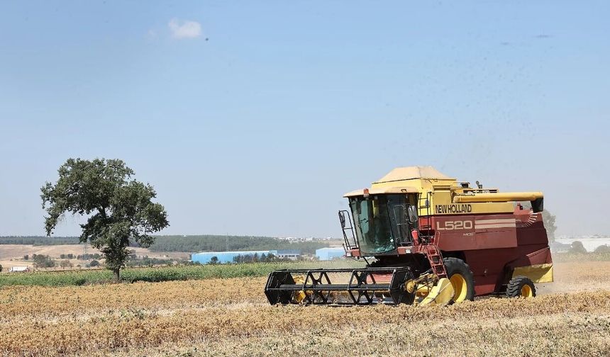 BURSA'DA İLK HASAT YAPILDI!