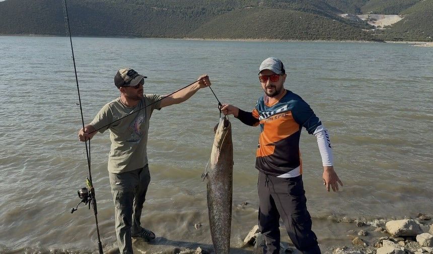 BU BALIĞI BURSA’DA YAKALADILAR!