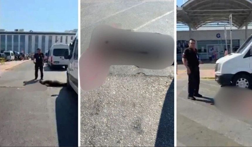 ANTALYA HAVALİMANI'NDA KADIN CİNAYETİ!