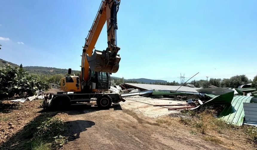 ZEYTİNLİĞE YAPILAN KAÇAK DEPO YIKILDI!