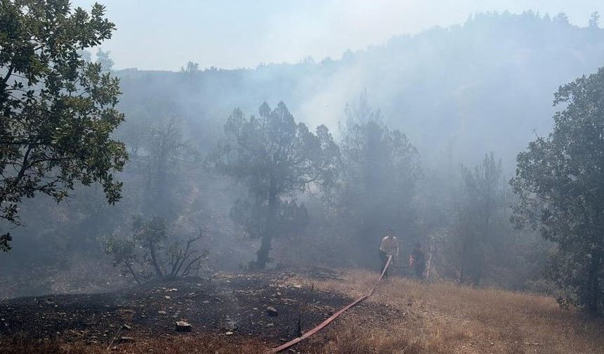 BURSA'DA KORKUTAN YANGIN SÖNDÜRÜLDÜ!