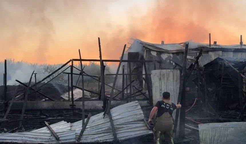 BURSA'DA ÇİFTLİK ALEV ALEV YANDI
