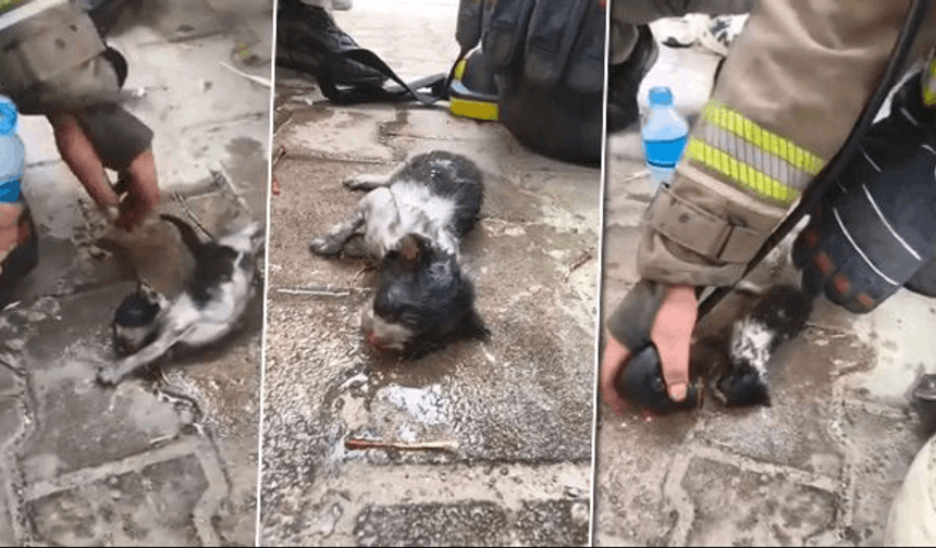 BURSA İTFAİYESİ YAVRU KEDİYİ BÖYLE KURTARDI!