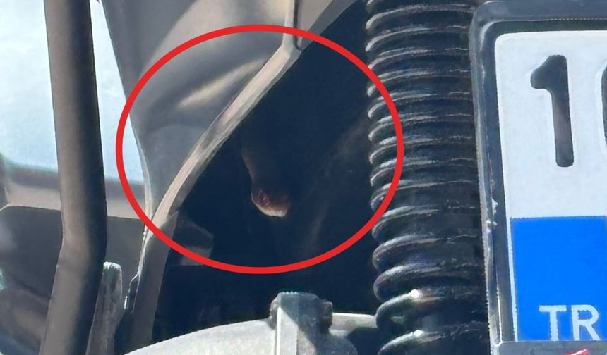 BURSA’DA MOTOSİKLETTEN ÇIKAN YILAN ŞOKE ETTİ