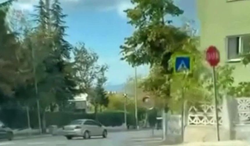 CADDE ORTASINDA TEHLİKELİ HAREKET!