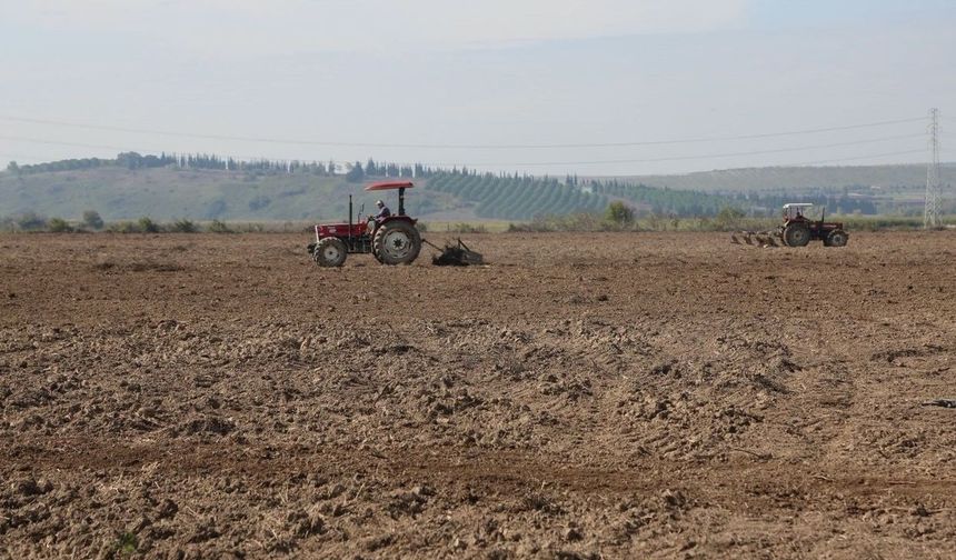BURSA’DA 150 DEKARLIK YAPAY MERA KURULUYOR