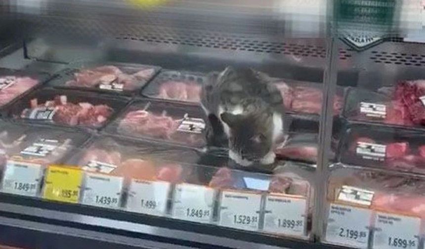 O GÖRÜNTÜLER SONRASI MARKETE CEZA!