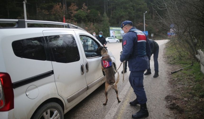 Uludağ'da sıkı denetim