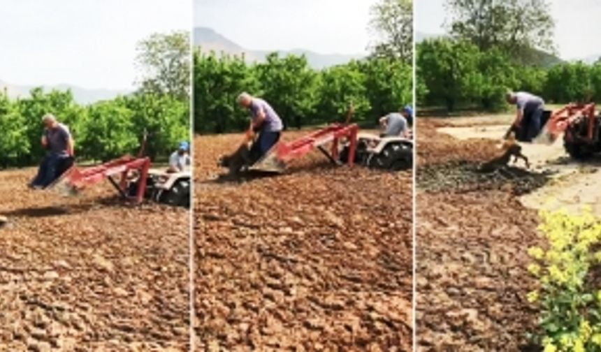 Bursa'da bataklığı saplanan köpek böyle kurtarıldı! Saatlerce beklemiş...