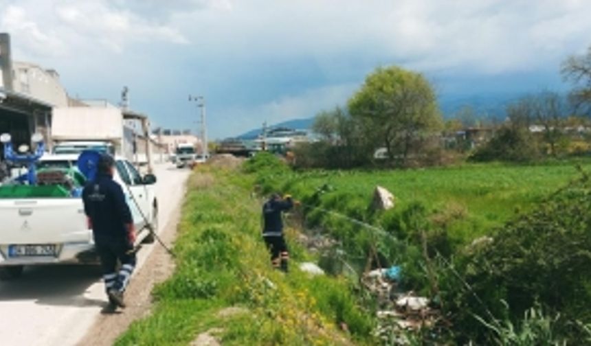 Bursa'da sinekle aralıksız mücadele hız kesmiyor