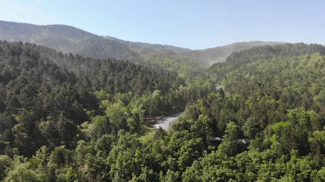 Bursa'da kritik orman kararı