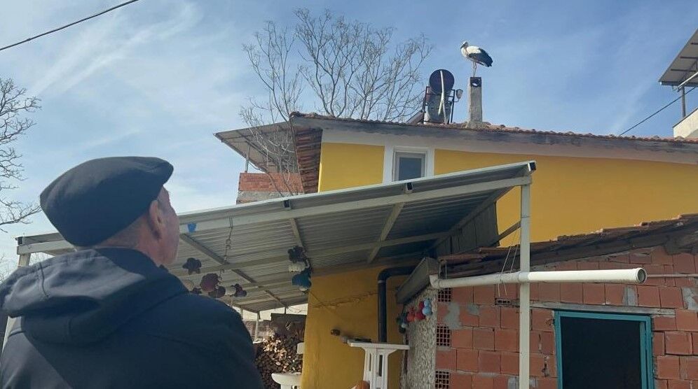 Eşi geldi, sıra Yaren Leylek'te!