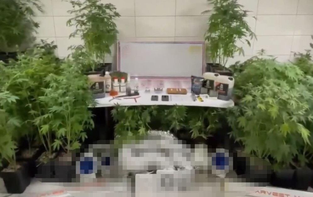 Bursa'da jandarmadan baskın!