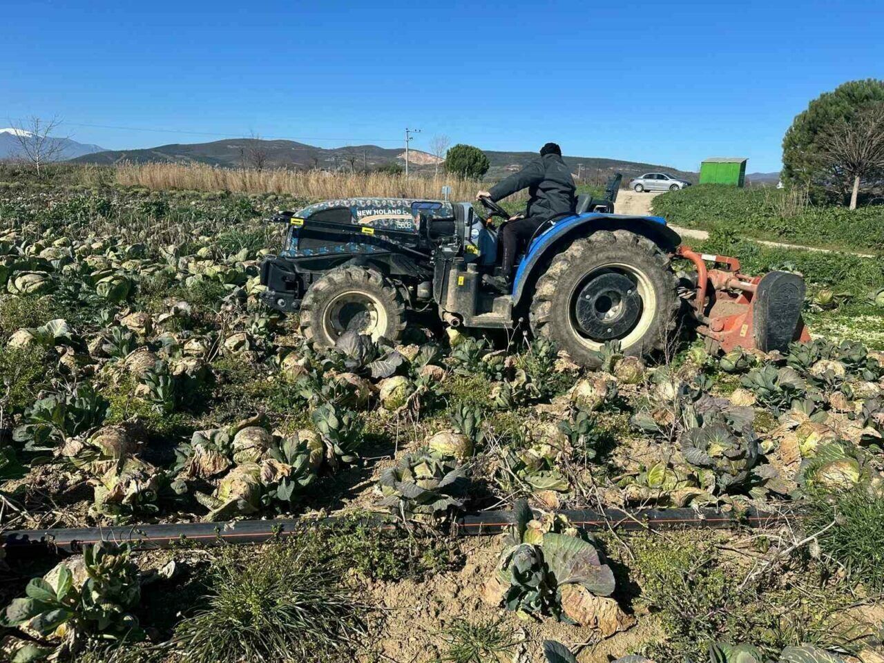 Yüzlerce dönüm ürün çöp oldu!