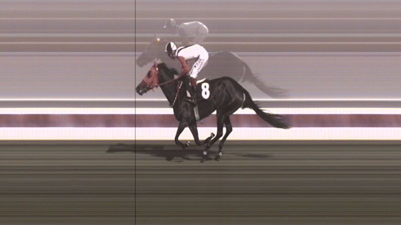 Şampiyon yarış atını kavurma yaptılar!