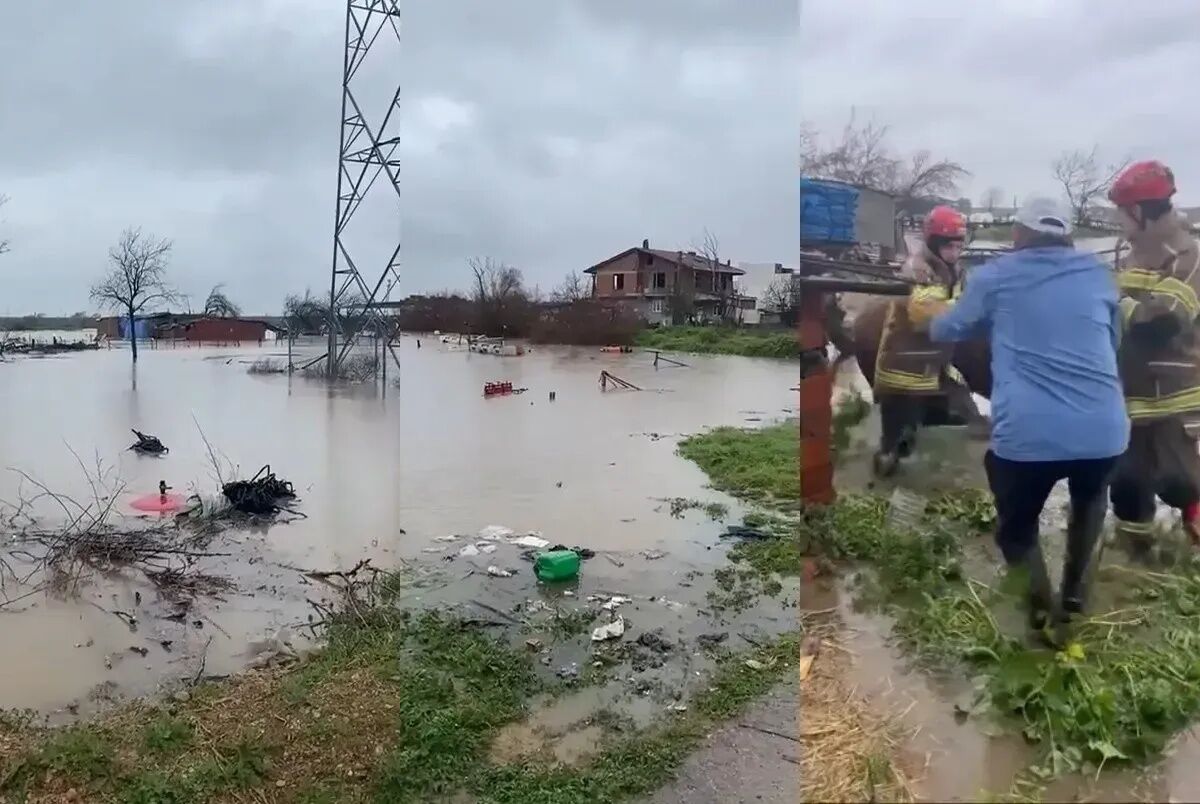 Sağanak, tarım ve hayvancılığı vurdu!