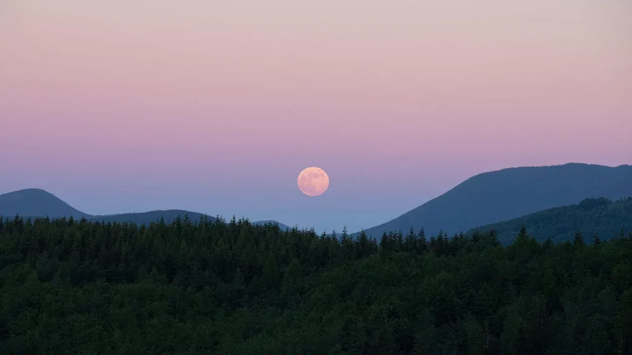 Pembe Dolunay 1 Nisan’da Gökyüzünde