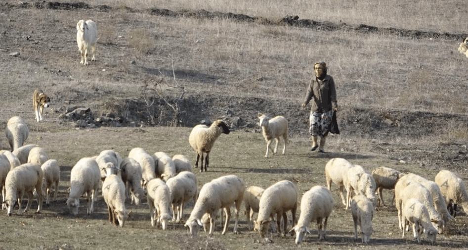 Katledilen kadının eski görüntüleri!