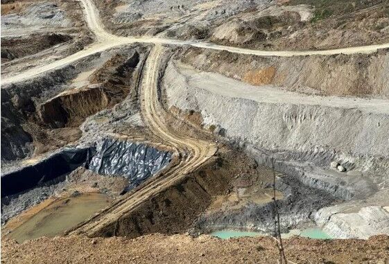 Bursa'da çevre felaketi!