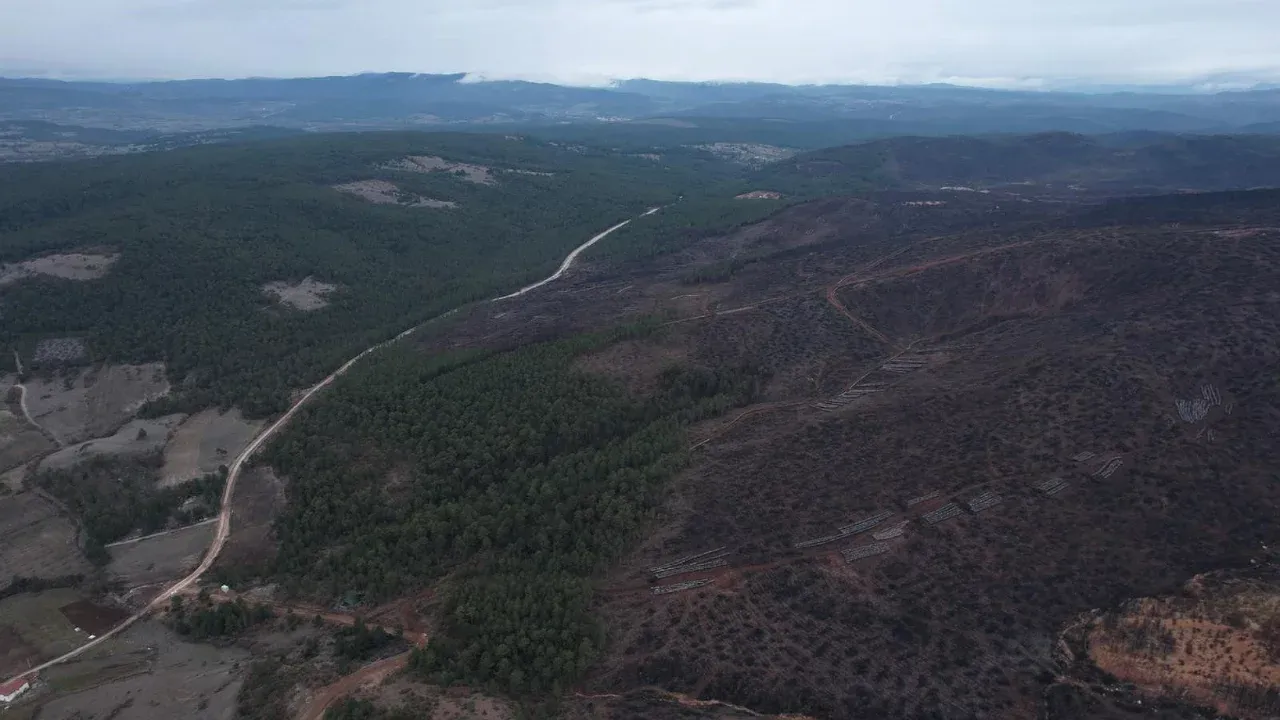 BURSA’DAKİ BÜYÜK YANGININ YARALARI SARILIYOR