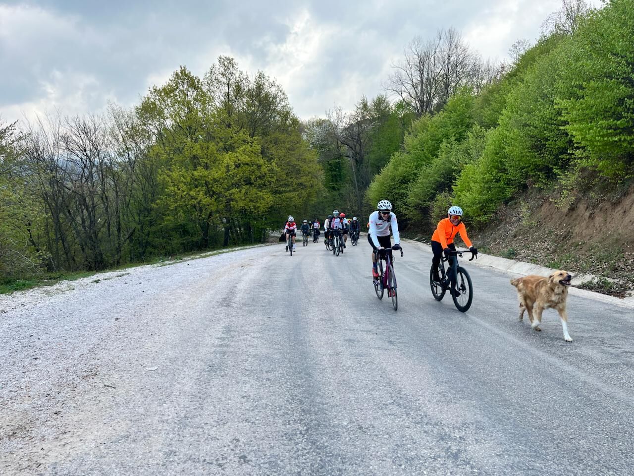 DOĞASEVERLER MYSİA’DA YÜRÜDÜ