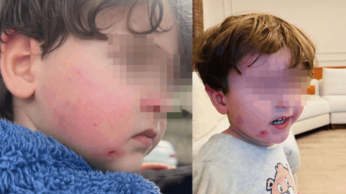 Bursa'da kreşte skandal iddia!