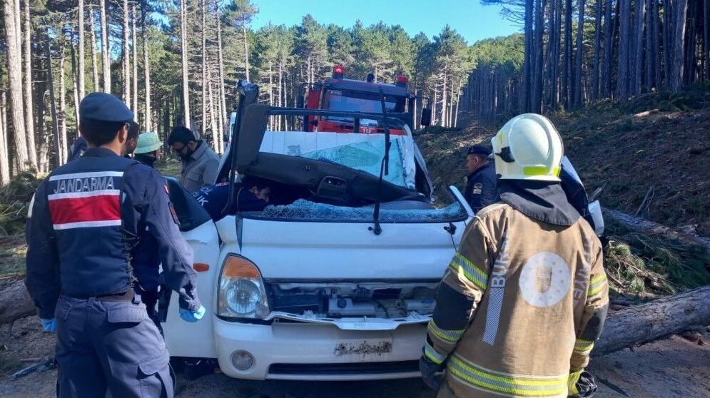 ULUDAĞ'DA KESİLEN AĞAÇ CAN ALDI!