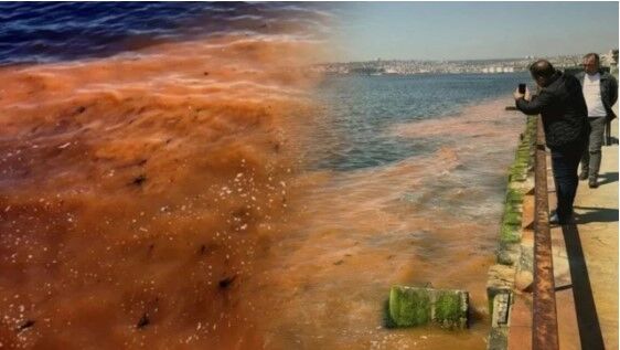 MARMARA DENİZİ TURUNCUYA BOYANDI!