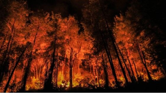 Acı tabloda Bursa ilk sırada!