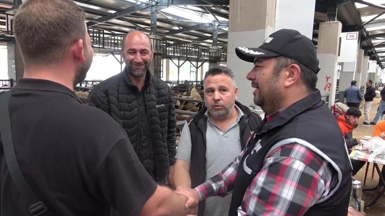 BURSA'DA KURBAN PAZARINDA RENKLİ ANLAR!