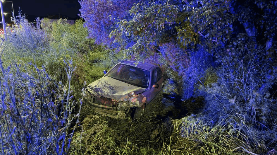 BURSA'DA OTOMOBİL ZEYTİNLİĞE UÇTU!