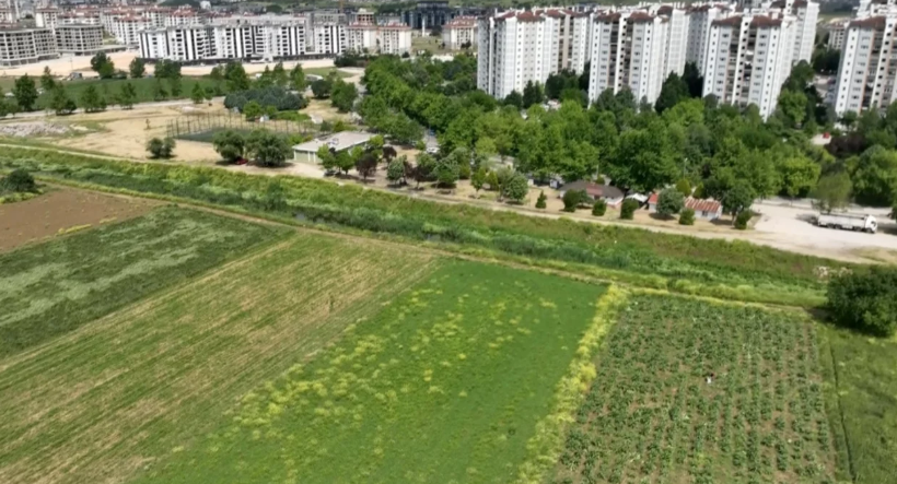 BURSA'DA "ALTIN DEĞERİNDEKİ TOPRAK" ALARM VERİYOR!